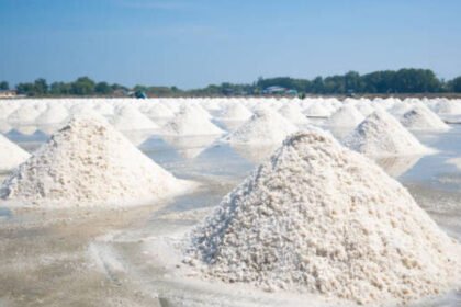 శ్రీలంకలో శ్రీలంకలో ఉప్పు సంక్షోభం .. భారత్ భారత్ సాయం .. అక్కడ అక్కడ కేజీ ధర ధర ఎంతో ఎంతో ఎంతో ఎంతో?