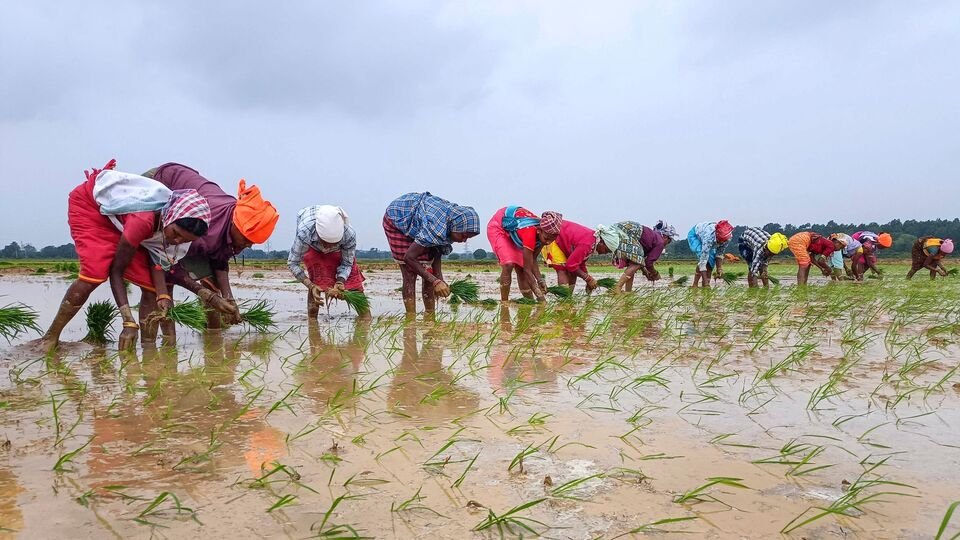 వారం ముందే దేశవ్యాప్తంగా విస్తరించనున్న విస్తరించనున్న
