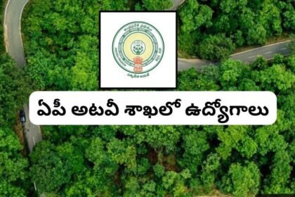 ఏపీ అటవీ శాఖలో సెక్షన్ ఆఫీసర్ ఉద్యోగాలు
