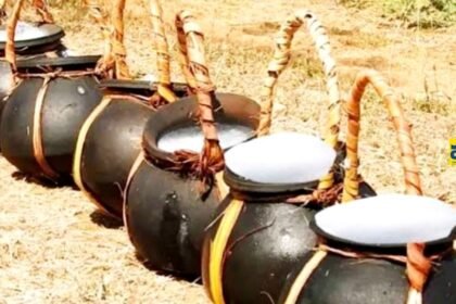 కల్లు ఆరోగ్యానికి ఆరోగ్యానికి? - ముద్రా న్యూస్