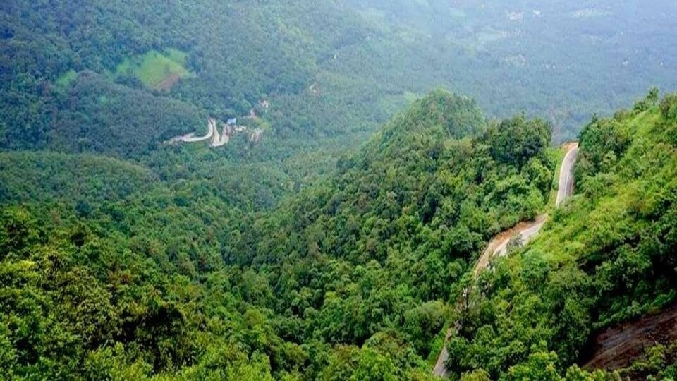 నల్లమలలో ఫారెస్ట్ బీట్ బీట్ ఆఫీసర్ మిస్సింగ్ - 10 రోజుల తర్వాత శవం శవం లభ్యం ..!