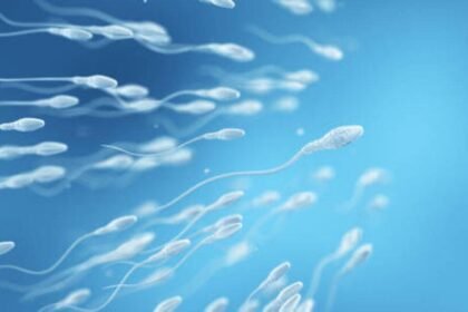 బిచ్చగాళ్లకు బిచ్చగాళ్లకు, బిర్యానీ .. పోర్న్ వీడియోలు వీడియోలు వీర్యం వీర్యం!