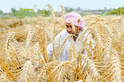 రైతుల ఖాతాల్లో పీఎం పీఎం 20 వ విడత డబ్బులు పడే పడే తేదీ తేదీ, ఇతర ఇతర ఇతర ..