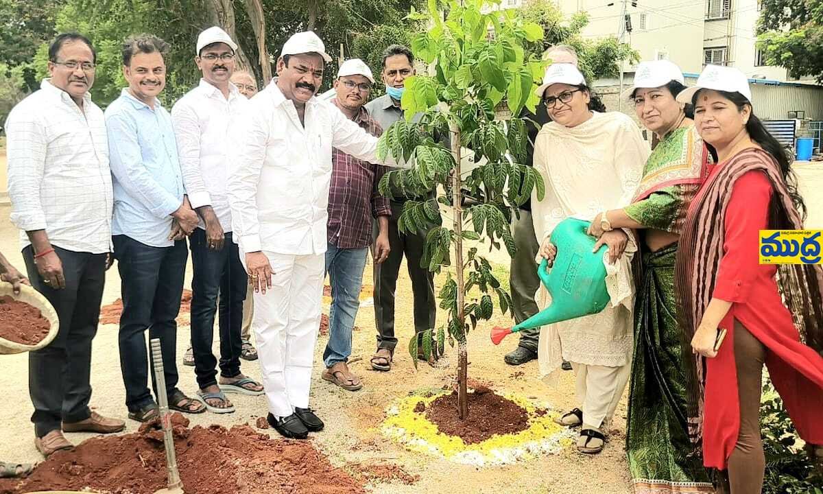 వన మహోత్సవంలో మొక్కలు నాటి ప్రకృతిని సంరక్షించాలి