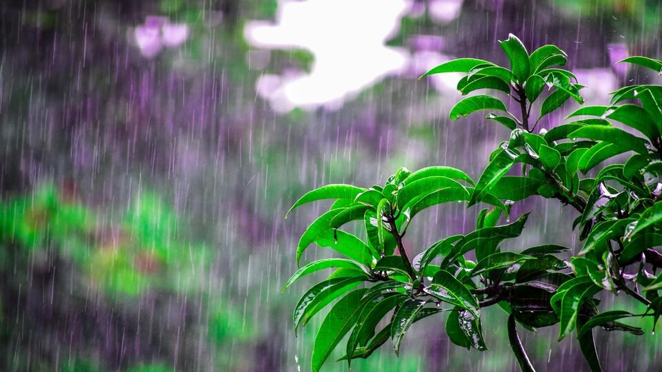 ఆగస్టు, సెప్టెంబర్ నెలల్లో సాధారణం కంటే కంటే ఎక్కువ వర్షపాతం ..
