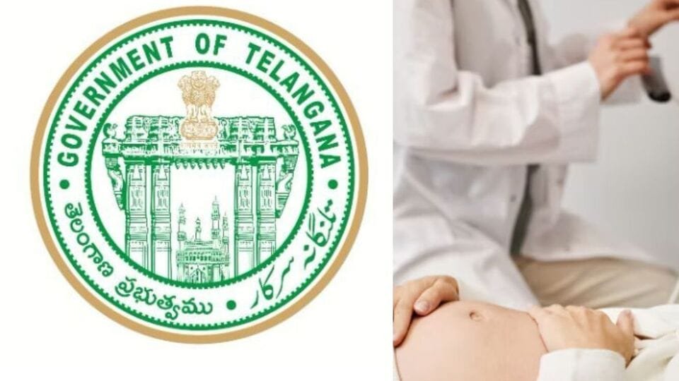 సంతాన సాఫల్య కేంద్రాలపై కేంద్రాలపై సర్కార్ - తనిఖీలకు తనిఖీలకు కమిటీ ఏర్పాటు ఏర్పాటు