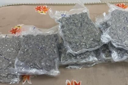 . 12 కోట్లు విలువ చేసే విదేశీ విదేశీ గంజాయి పట్టివేత - శంషాబాద్ ఎయిర్‌పోర్టులో మహిళ అరెస్ట్ అరెస్ట్ ..!