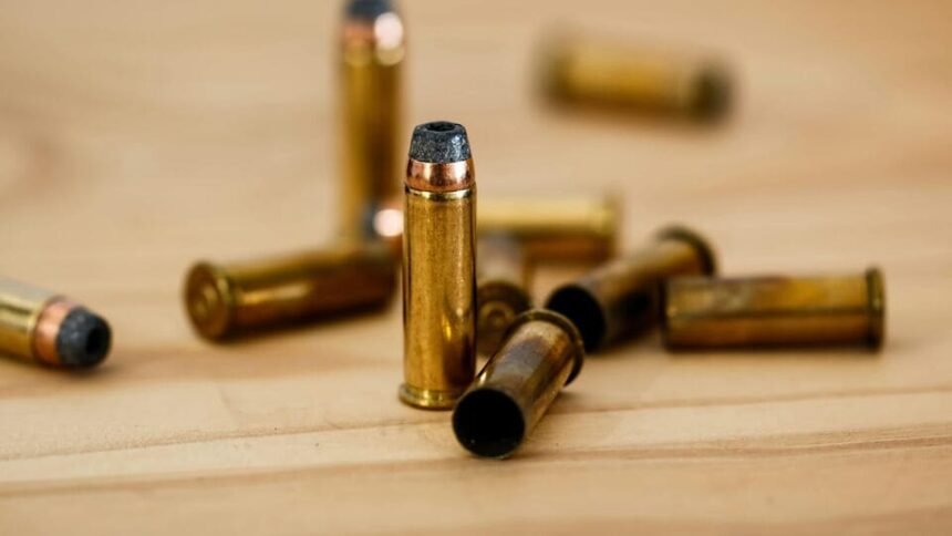 వైజాగ్ నేవీ బేస్ లో గన్ ఫైర్ ...! సెంట్రీ గార్డ్