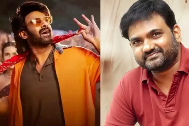 ఇండియన్ సినిమా హిస్టరీలో ఇలాంటి సినిమా రాలేదు.. మారుతి ఏమంటున్నాడు