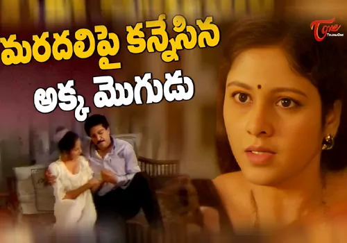 tmdb-header-middle-logo