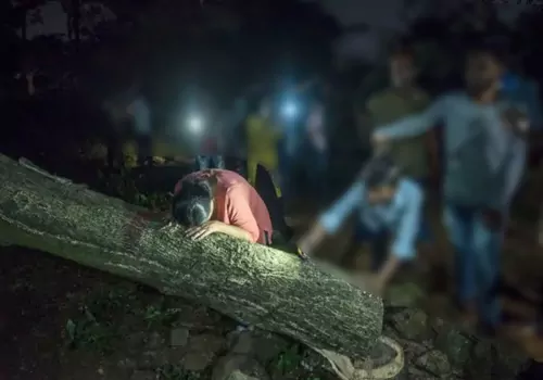 tmdb-header-middle-logo