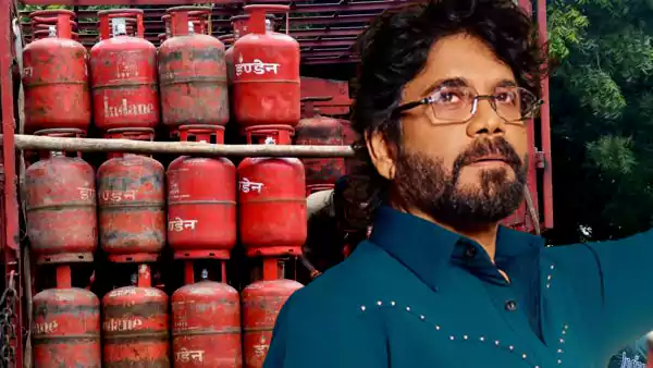 tmdb-header-middle-logo